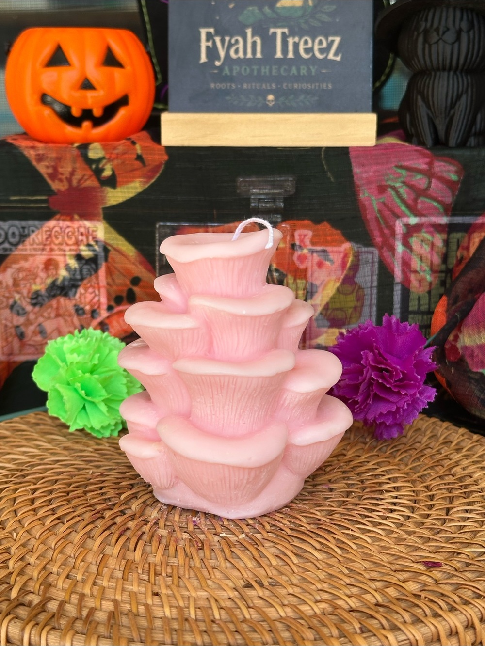 Pink Oyster Mushroom Candle – Cottagecore Fungi Candle